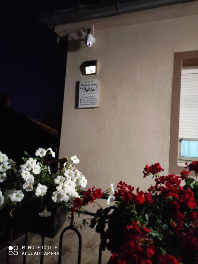 Kuca Vila Idila Vrsac Bagian luar foto