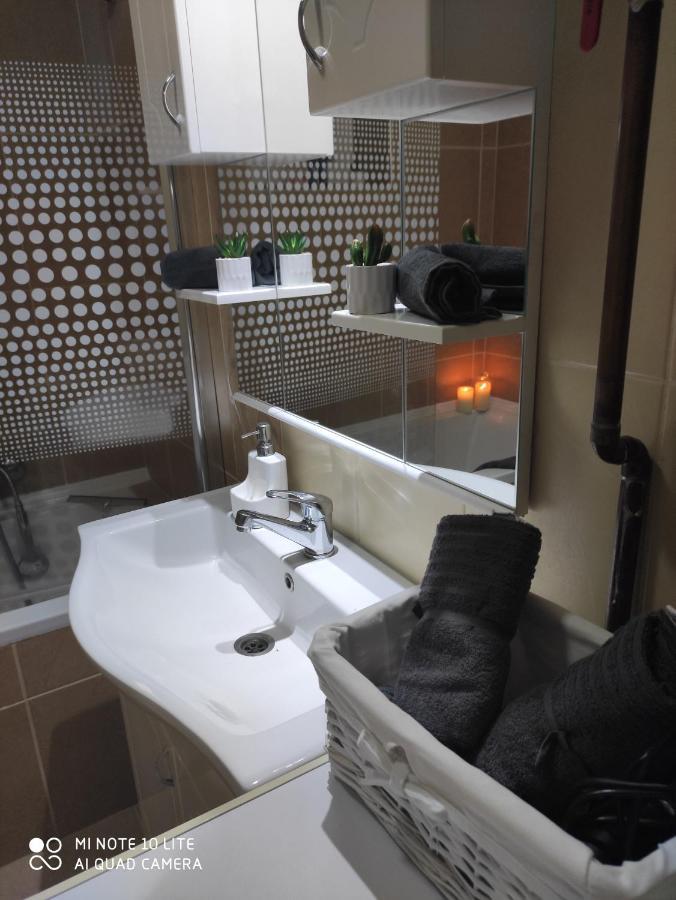 Kuca Vila Idila Vrsac Bagian luar foto