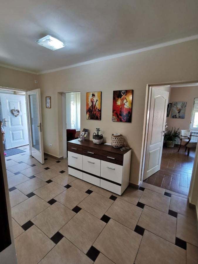 Kuca Vila Idila Vrsac Bagian luar foto
